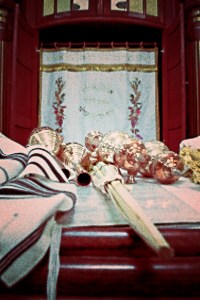 Torah ark and bimah